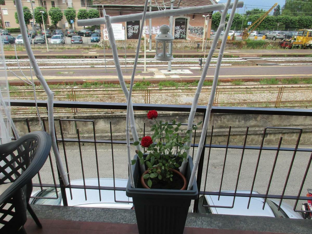 Red Rose * Stresa